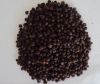 Black Pepper 550gl/ 500gl (Piper nigrum)
