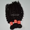 10inch-30inch Virgin Malaysian Remy Hair Deep Curly Natural Black 100g
