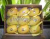 Fresh Sindhri Mangoes