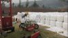 silage film supply, superior quality, Welcome to pick and buy.