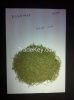 rosemary