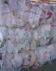 High Quality Recycled Directories Scrap