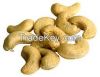 Raw and dried Cashew Nut direct rom Supplier in Asia.