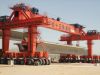 DLT900 Gantry Crane goliath crane