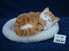 Lovely Furry Cat