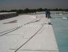 1.2/1.5/2.0mm TPO Waterproofing Sheet for Roofing and Undergrand Engin