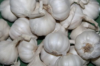 fresh gralic price normal white garlic  in 2018( Ms Anna +84988332914-whatsapp)