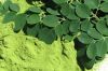 Moringa Dried Leaves Leaf Extract Powder ( Anna + 84988332914 )