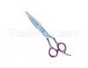 Professional Thnning Shears