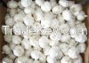 fresh normal white garlic/ fresh pure white garlic