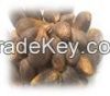 Palm Kernel Nuts