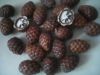 RAPHIA HOOKERI SEED