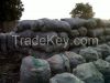 Hardwood Charcoal   