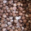  Top quality organic High quality areca catechu dried betel nut