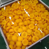 CHEAP PRICE Canned Yellow Peach in Halves IN BULK