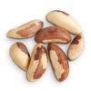 Raw Brazil Nuts / Shelled Brazil Nuts / Dried Brazil Nuts 100% wholesale