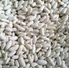 White Kidney Beans Butter Bean White bean Cheap Price