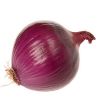Best selling product South Africa onion /Red onion /Round onion