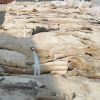 Wet Salted & Dry Salted Donkey Hides and Cow Hides, cattle Hides, animal skin, Goats, Horses