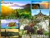 Bali Free & Easy P...