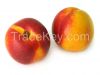 Fresh Peaches and Nect...