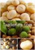 Cashew nuts ,Pistachios nuts ,Almonds Nuts,Macademian nuts for sale