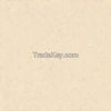 Polished Body Tiles