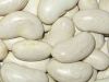 White Kidney Bean