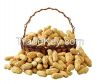 export peanuts in shell, blanched peanuts