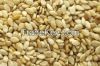 SESAME SEEDS