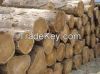  Kosso, doussie, teak,...