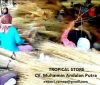 High Quality Palm Ekel Broom Sticks / Palm Tree Sticks