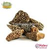 Dried Morel Mushroom O...