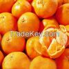 Fuji Apple,Golden Pear,Dried Appricot,Fresh Mandarin Oranges,Preserved Raisins