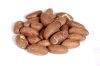 Kola nut and Bitter kola