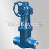 Pressure Seal Globe Valve