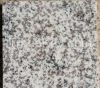 White Granite tile cou...