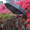 Eral Golf Umbrella Black