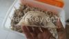 Bird Nest or Edible Bi...