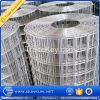 304 304L 1x1 2x2 Galvanize / Stainless Steel Welded Wire Mesh