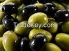 Fresh olives 