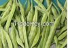 Guar gum powder of gua...