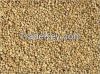 Guar gum powder of gua...