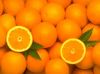 Fresh Pakistani Orange 