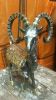 100% Brass Metal Goat ...
