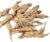 Angelica Sinensis/Dang Gui /Chinese Tonic Herbs, whole/cut/slice