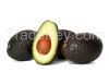 Mexican Hass Avocado