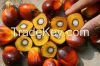 CPO (CRUDE PALM OIL) FOR SELL