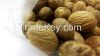 Grenada Sound Unassorted Nutmegs