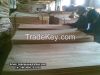 Eucalyptus Core Veneer